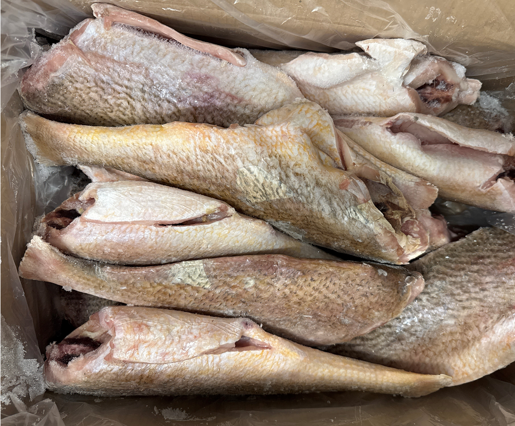 Croaker (Yellow), 16-32oz, Pan Ready, Frozen, Brazil,NW, 25lb