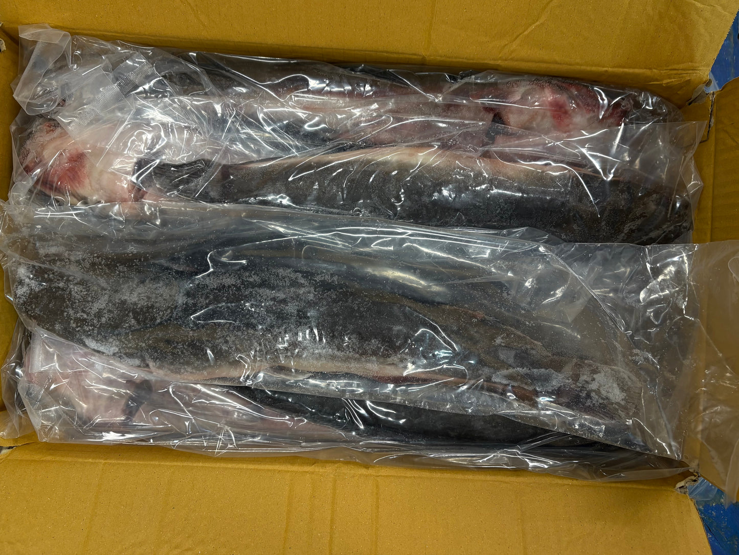 Catfish, 400-800g, Whole, Gutted, Frozen, IQF, Thailand, NW, 16.2lb