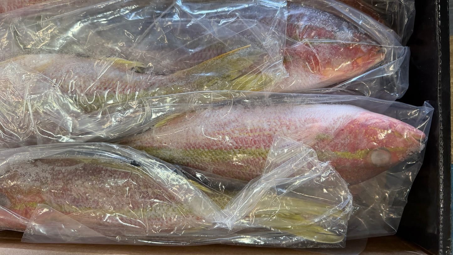 Snapper (Yellow Tail), 3/4-1 lb, GGS, Frozen, IWP, Brazil, NW, 10 lb