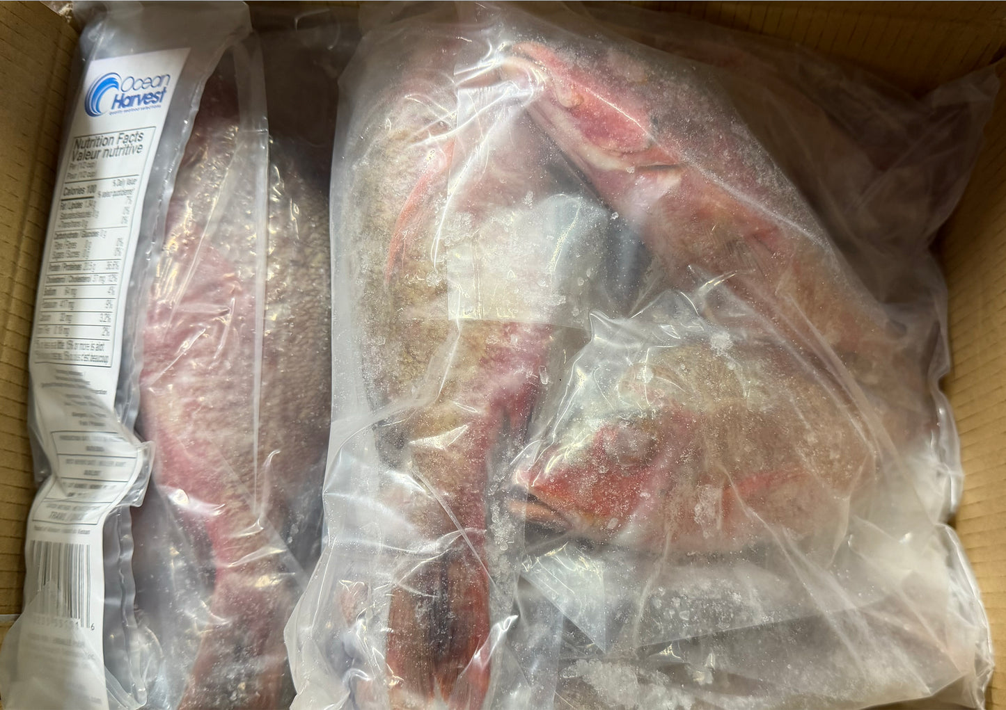 Snapper (Red), 1/2-3/4lb,WGGS, Frozen, IQF, IWP, Vietnam, Ocean Harvest, NW,10lb, 2X5lb