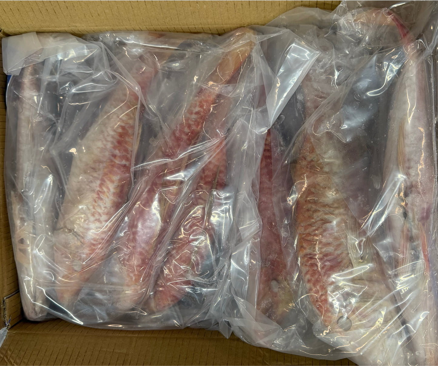 Mullet (Red), 70-140g /pc, 50-200g(CNF), WGGS, Frozen, IQF, IWP, NW, 10 lb , (2x5lb)