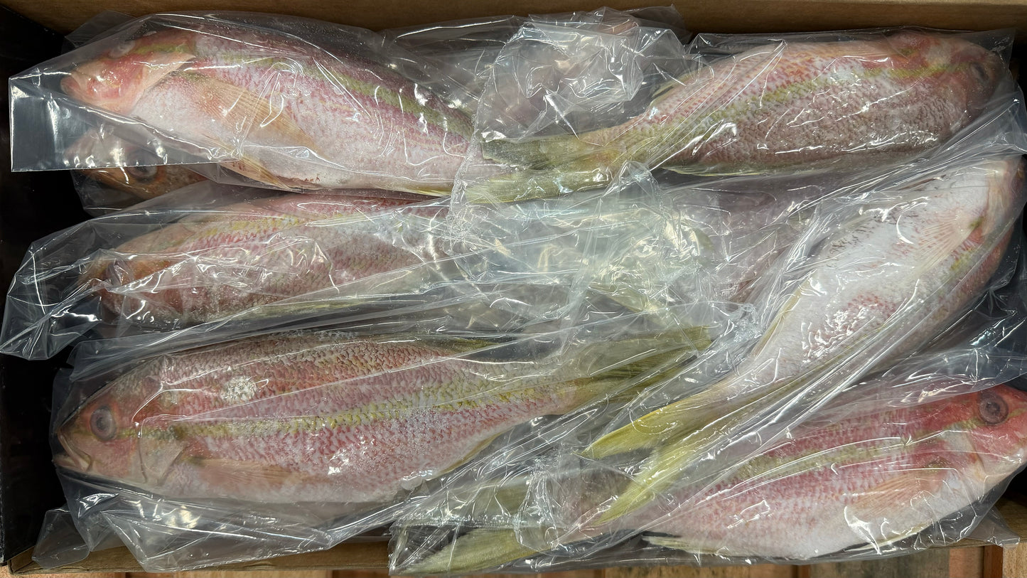 Snapper (Yellow Tail),1/2-3/4lb, GGS, Frozen, Mexico, DSA, NW, 10lb