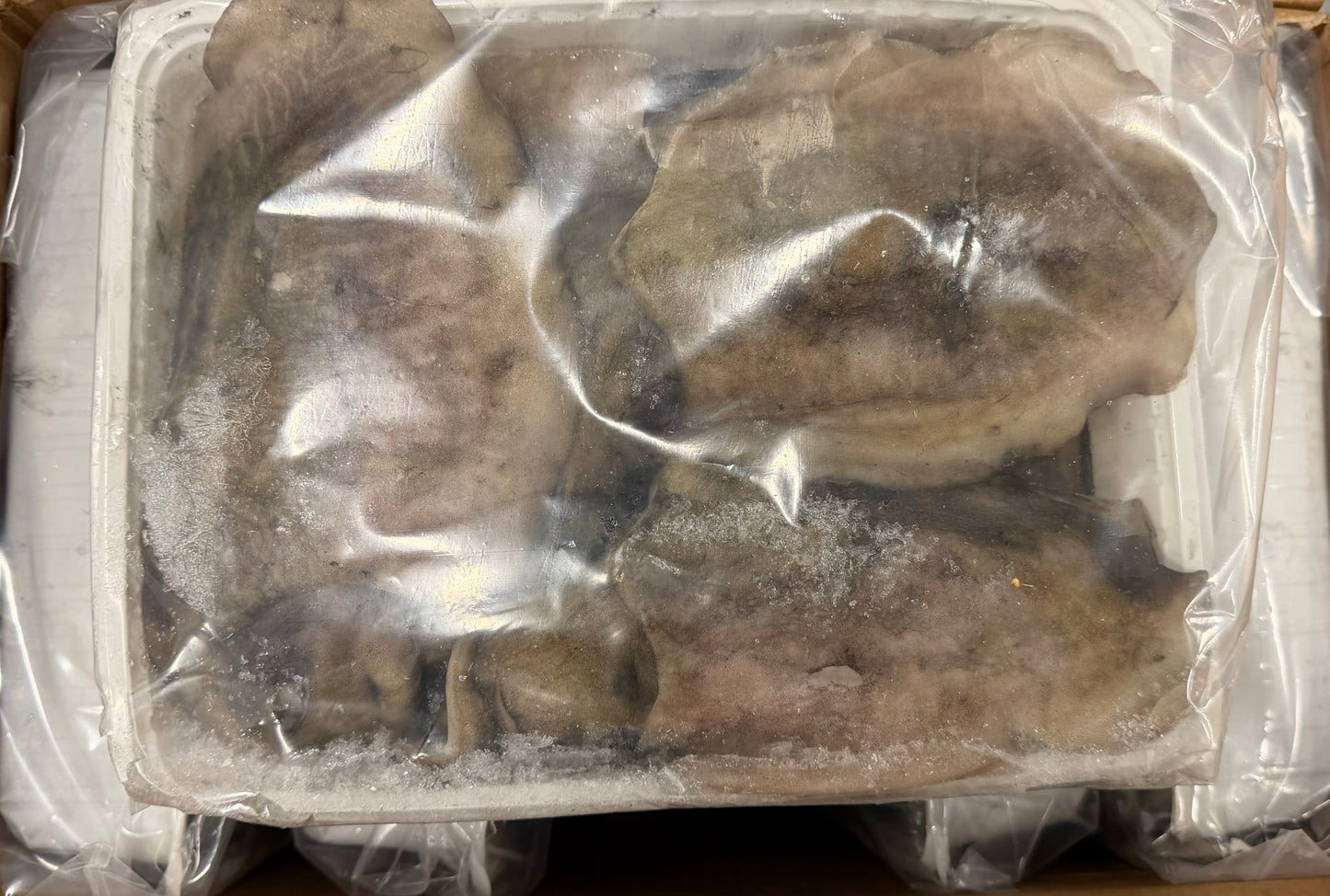 Octopus (Vulgaris), T4, Whole, Frozen, IQF, Morocco, NW, 12 kg (26.46 lb)