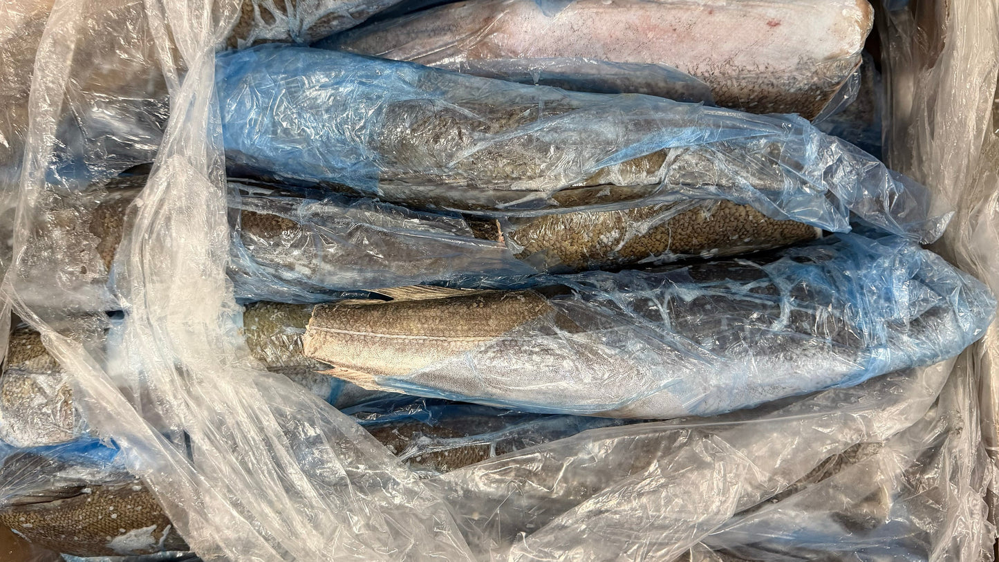 Hake (Atlantic Whiting),400-700g, HGT, Frozen, IQF, NW, 16kg, 35.28lb
