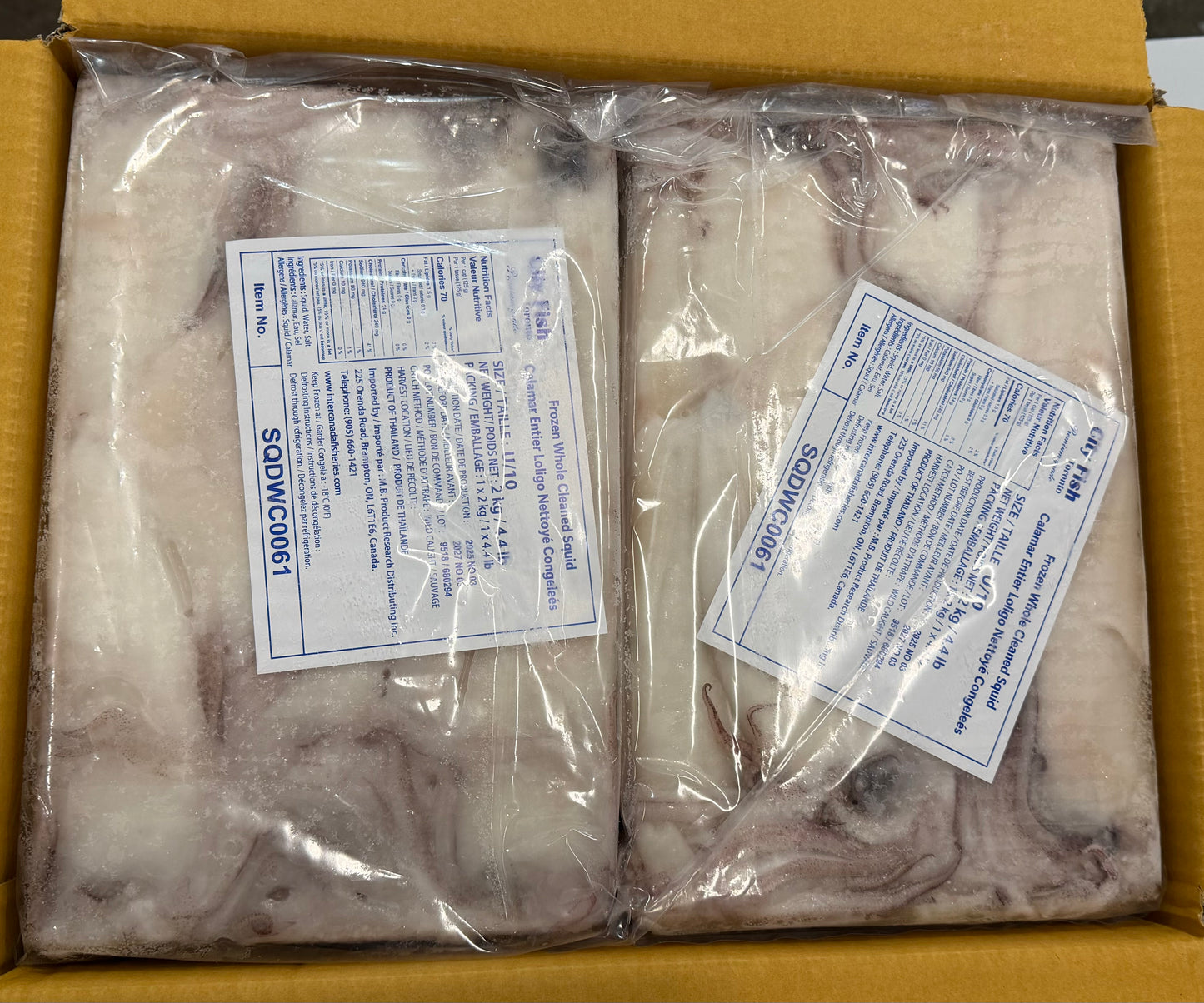 Squid (Loligo For.), U10, Whole, Cleaned, Frozen, City Fish, NW, 12kg, 6X2kg