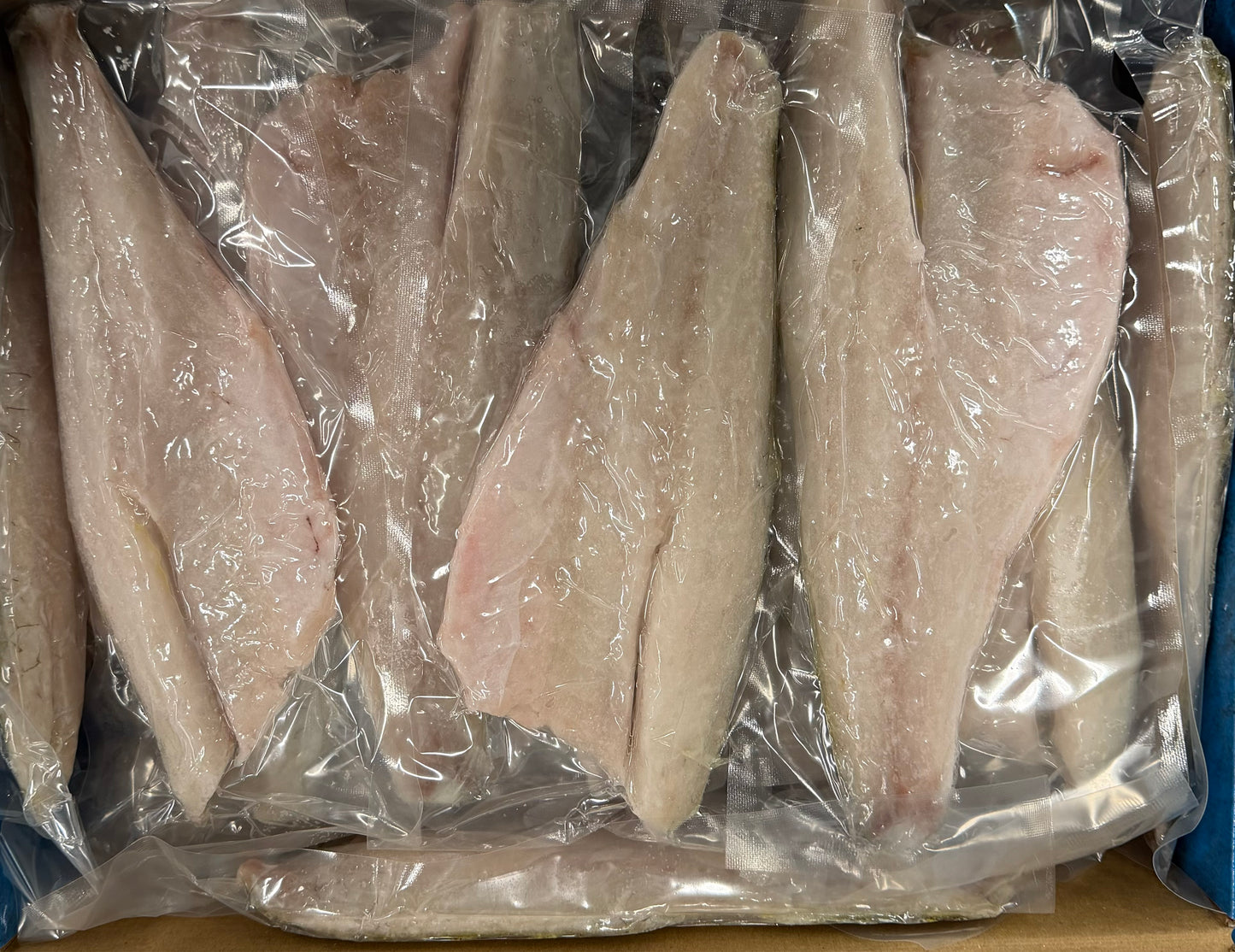 Sea Bass (Branzino), Fillet, 5-6, skin on, Frozen, IVP, NW 10lb