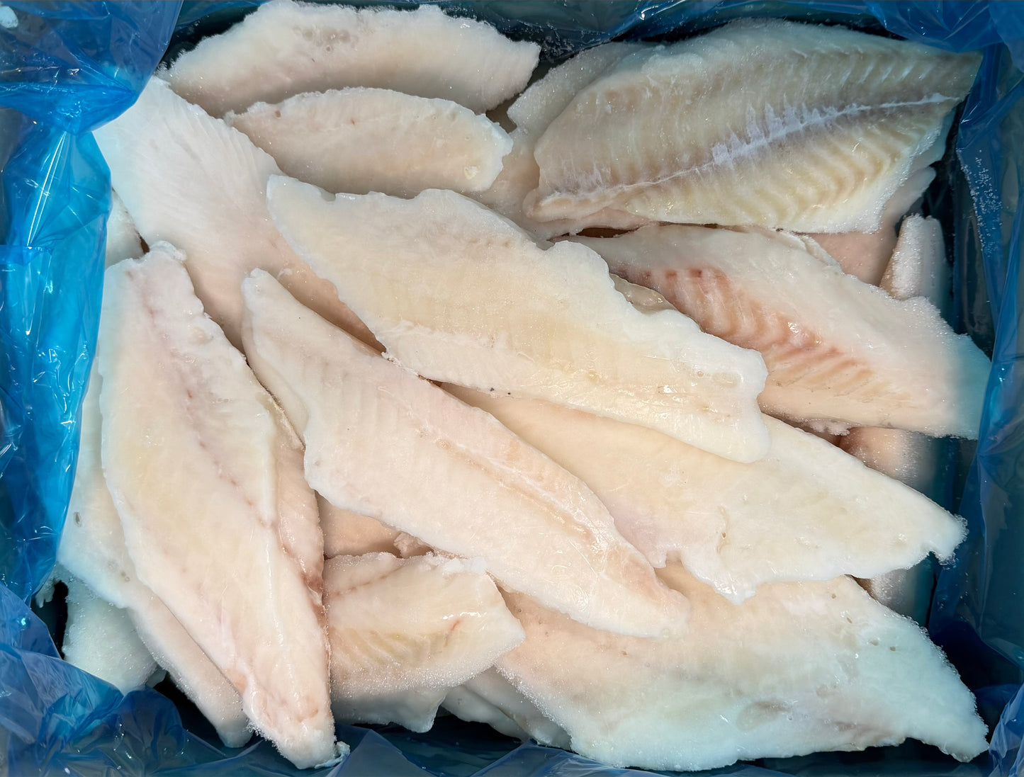 Haddock, 4 oz, Fillet, 100%, Skinless, Boneless, Frozen, IQF, PBO, Light treated, China, 5-8% glazing, NW, 10 lb