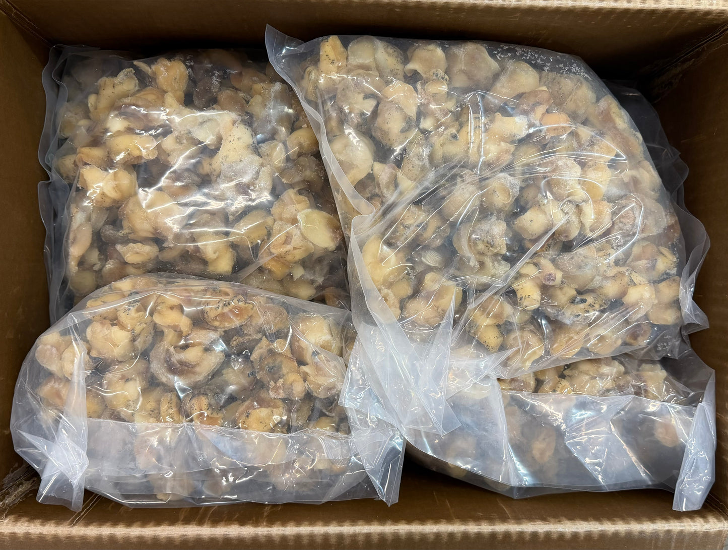 Whelk Meat, Cooked, Frozen, IQF, Canada, NW 24lb ( 6 x 4lb)