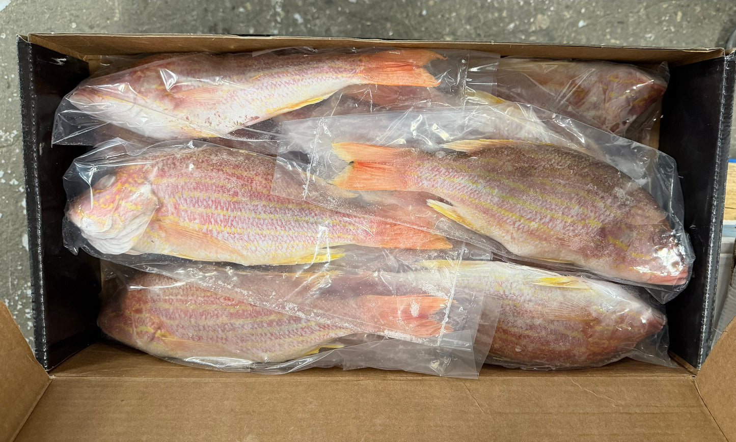 Snapper (Lane), 3/4-1 lb, GGS, Frozen, NW, 10 lb