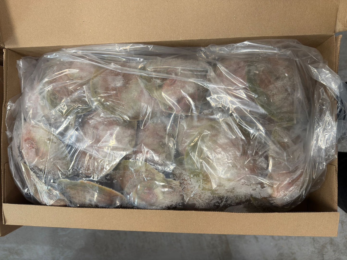 Scallops,(Meat only), 10-13 cm, H/SH, IQF, Frozen, Canada, NW, 10 lb