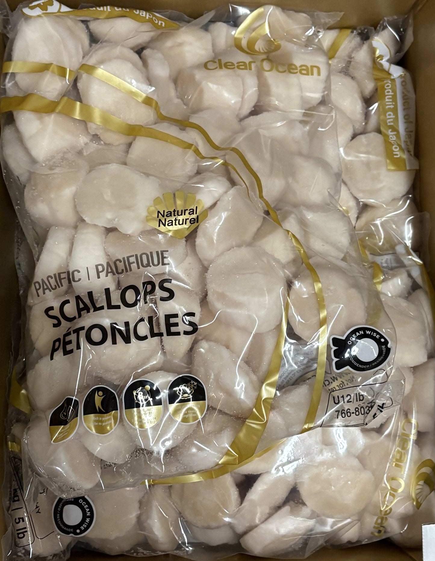 Sea Scallops, U12, Frozen, Hokkaido, Japan, IQF,NW, 20 lb, 4x5lb