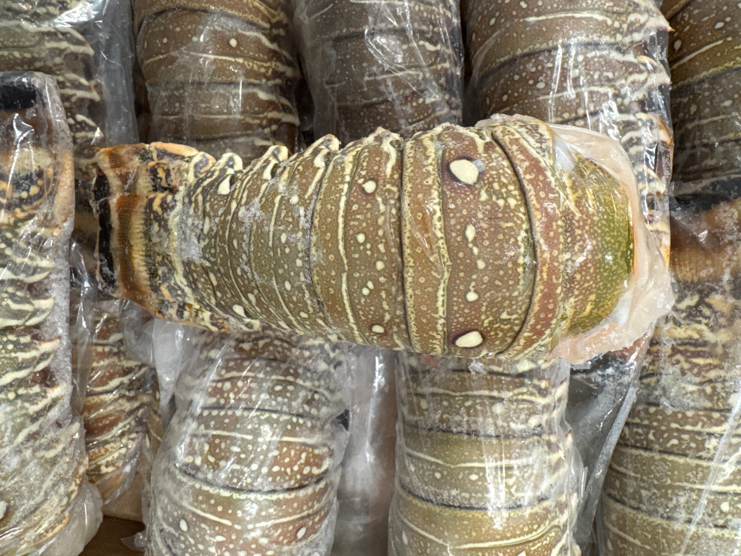 Lobster, 7oz, Tails, Frozen, Brazil, NW, 10lb