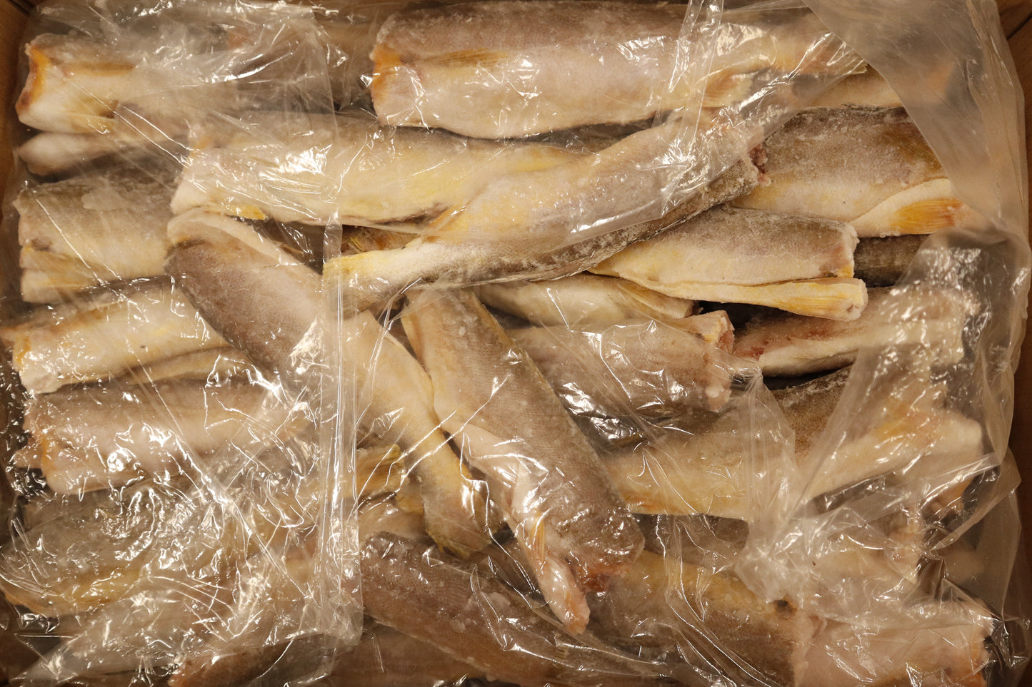 King Weakfish (Bangamary), 200g up, Headless, Gutted, Scaled, Frozen, Brazil, NW, 44 lb