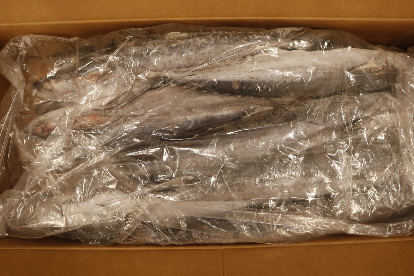 King Fish, 3-5 lb/pc, Whole, Frozen, IWP, Suriname, DSA, NW, 66 lb