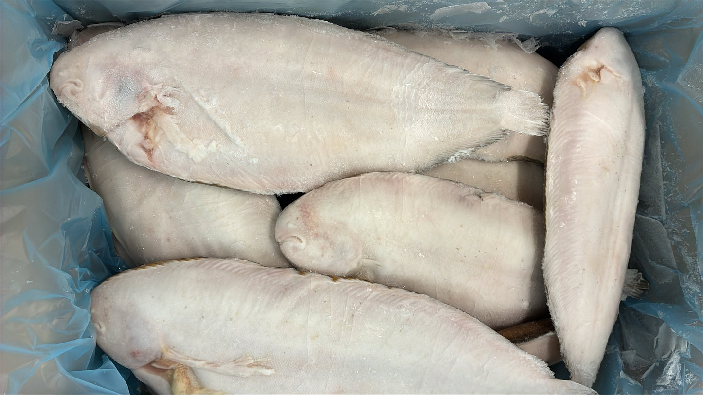 Sole (Dover), 20-24, Whole Round, Frozen, IQF, Prince of Urk, NW, 25lb