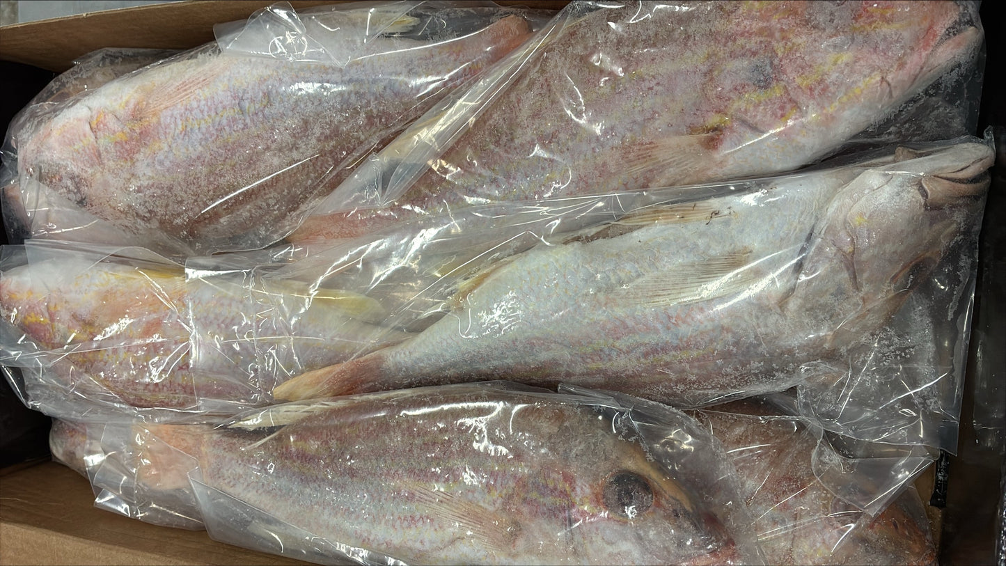 Snapper (Lane), 3/4-1 lb, GGS, Frozen, NW, 10 lb