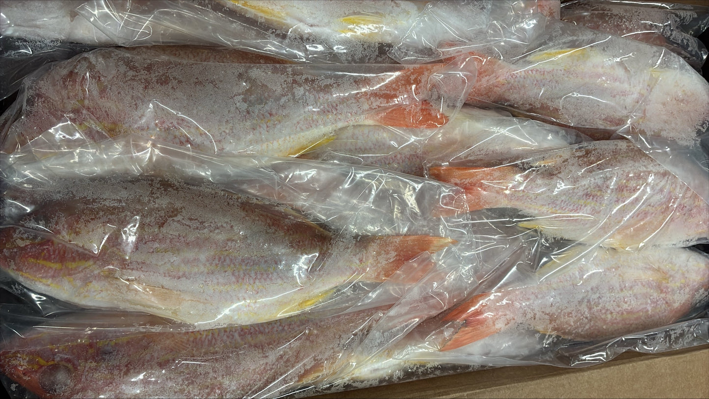 Snapper (Lane), 1/4-1/2 lb, GGS, Frozen, IWP, Brazil, NW, 10 lb