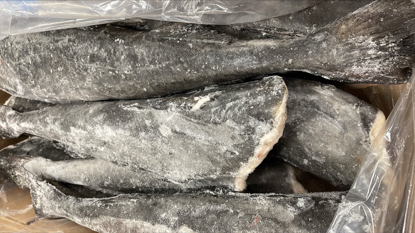 Cod (Black), #1, 5-7 lb, Headless, Gutted, LL - J/Cut, Frozen, NW, 50 lb, USA