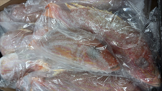 Snapper (Lane), 1/2-3/4 lb, GGS, Frozen, IWP, Brazil, NW, 10 lb