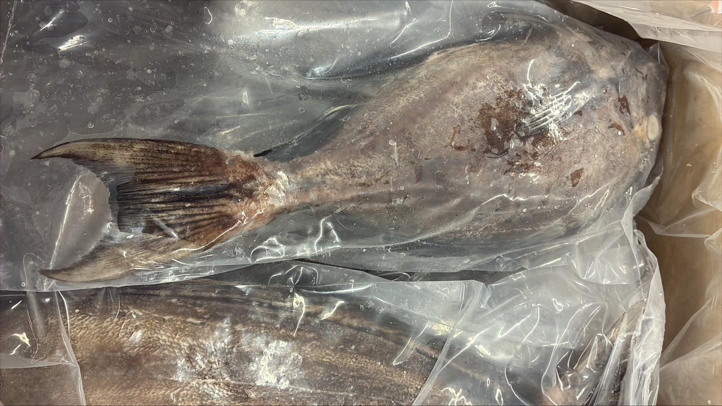 Doctor Fish ,1-2lb, WGS, Frozen, IQF, IWP, Vietnam, NW, 10lb