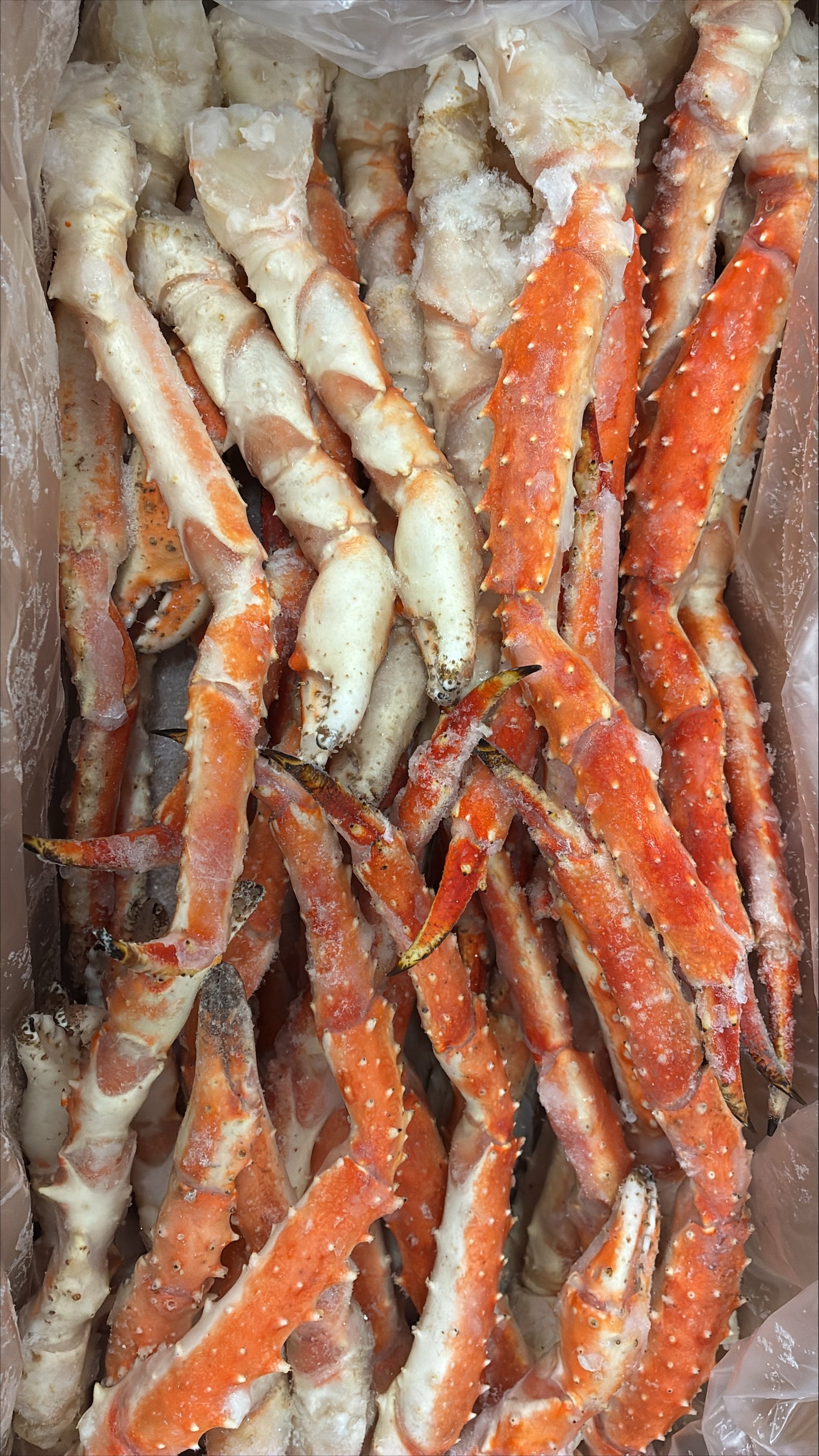 Crab (King), Cooked, 20/up, Single Legs/Claws, Norway, Frozen, IQF, NW 4.5kg( 10lb)