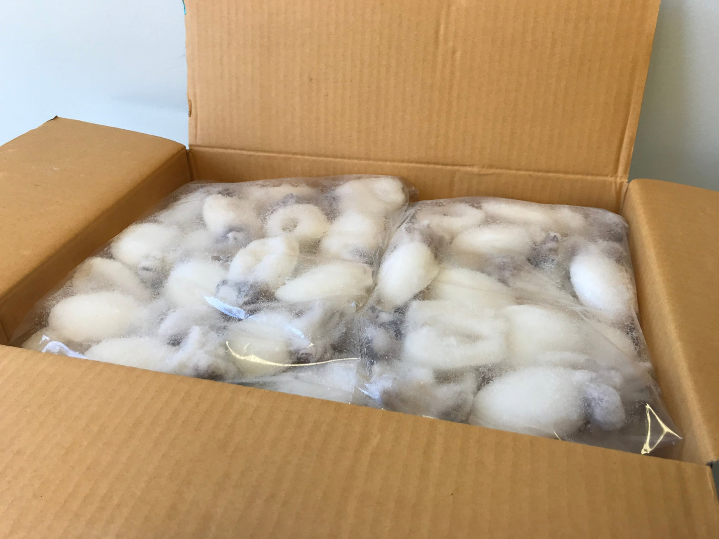 Cuttlefish (Cleaned), 21-40pc/kg, Whole, Frozen, IQF, 80%, Thailand, Ocean Harvest, NW, 20lb, 10 x 2lb