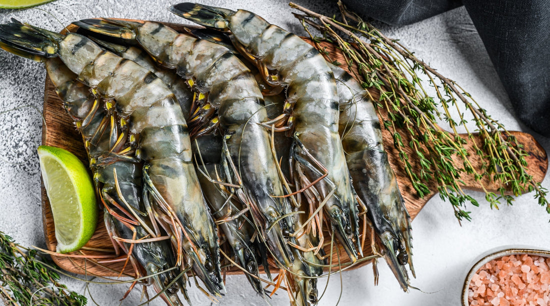 How to Buy and Store Black Tiger Shrimp Like a Pro