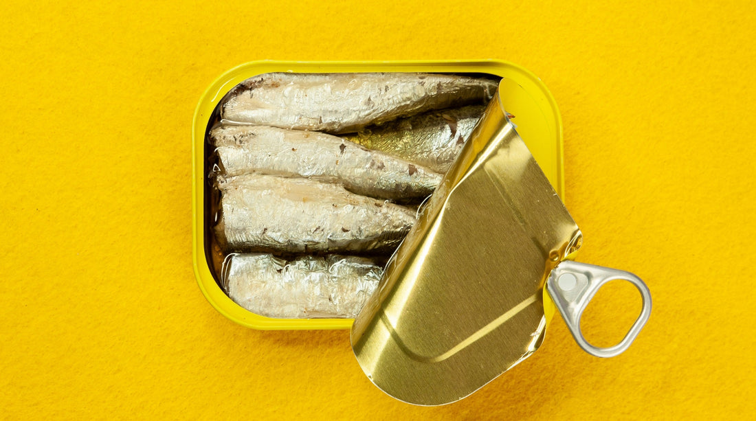 Guide to Purchase Canned Sardine Fish In Canada
