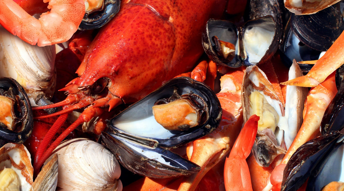 Your favorite shellfish found easy!