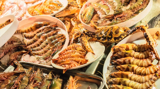 Discover The 5 Different Types of Shrimps