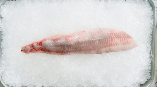 The Best Ocean Harvest Fish Wholesalers in Toronto