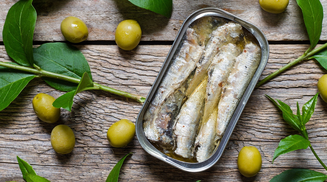 A Complete Guide to Choose Canned Sardines