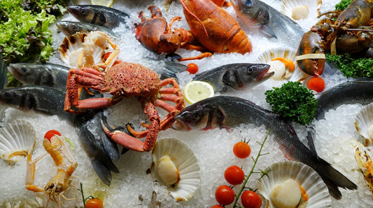Best Place to Buy Seafood for Businesses