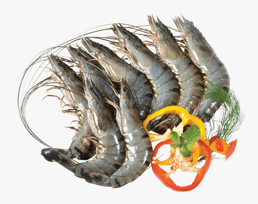 The Nutritional Bounty of Black Tiger Shrimp: A Healthier Choice