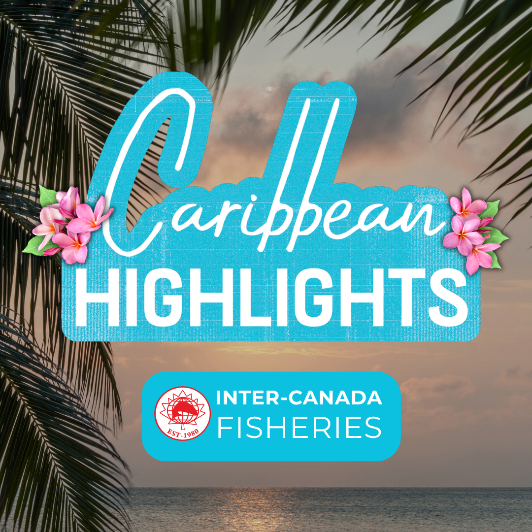 Caribbean Highlights 🚤