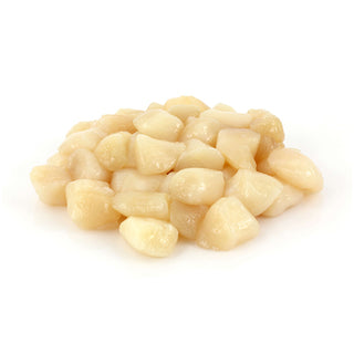 Scallops
