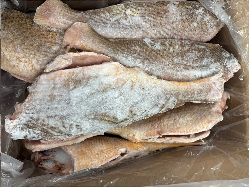 Croaker (Yellow), 32-64oz, Pan Ready, Frozen, Brazil,  NW, 25lb