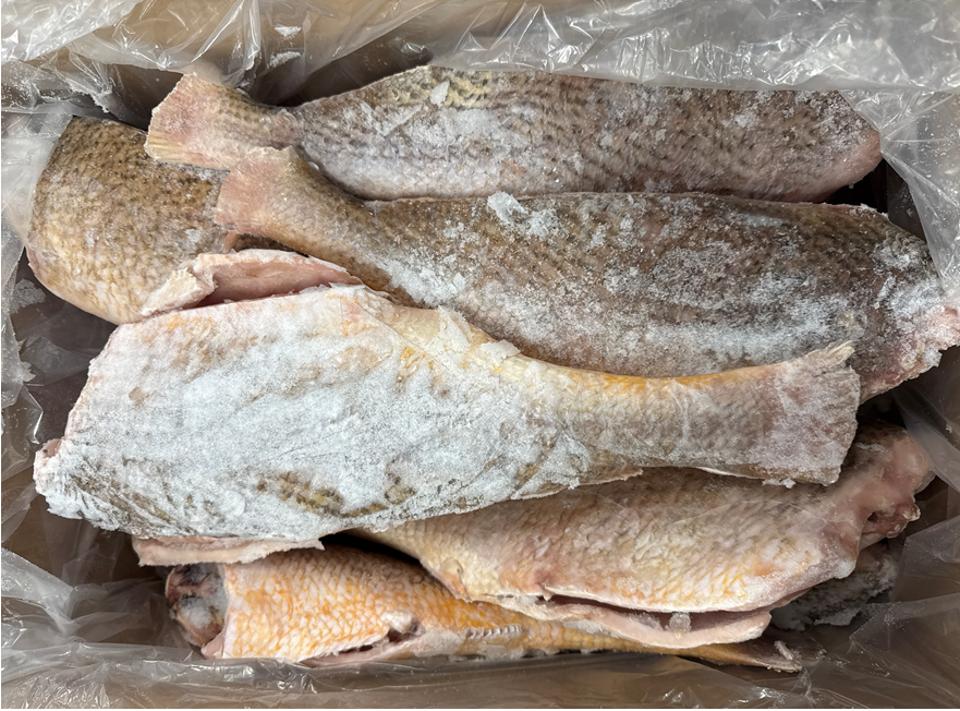 Croaker (Yellow), 32-64oz, Pan Ready, Frozen, Brazil,  NW, 25lb