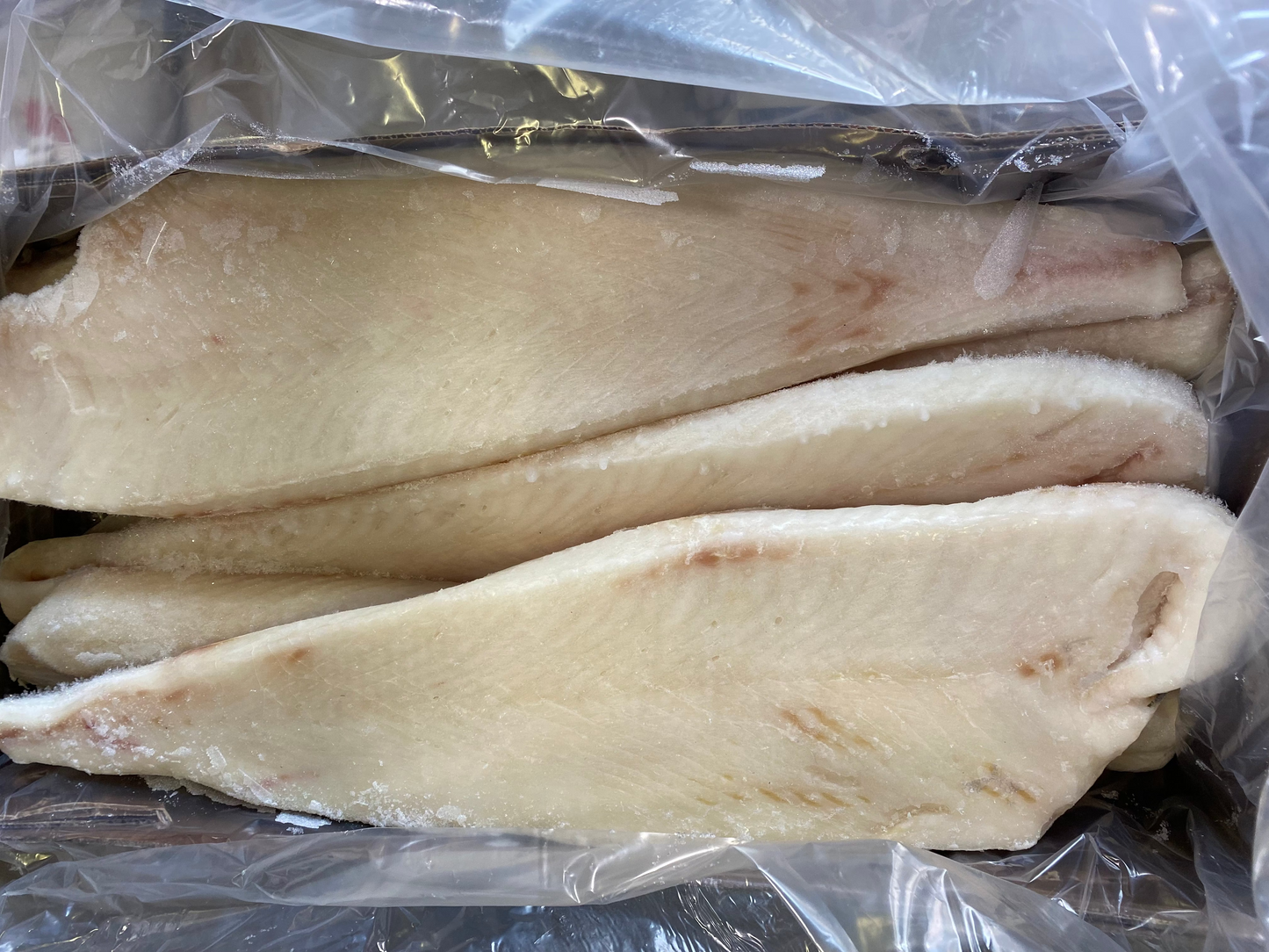 Halibut, (California), 1-3 lb, Fletches, Skinless, Boneless, Frozen, NW, 20 lb