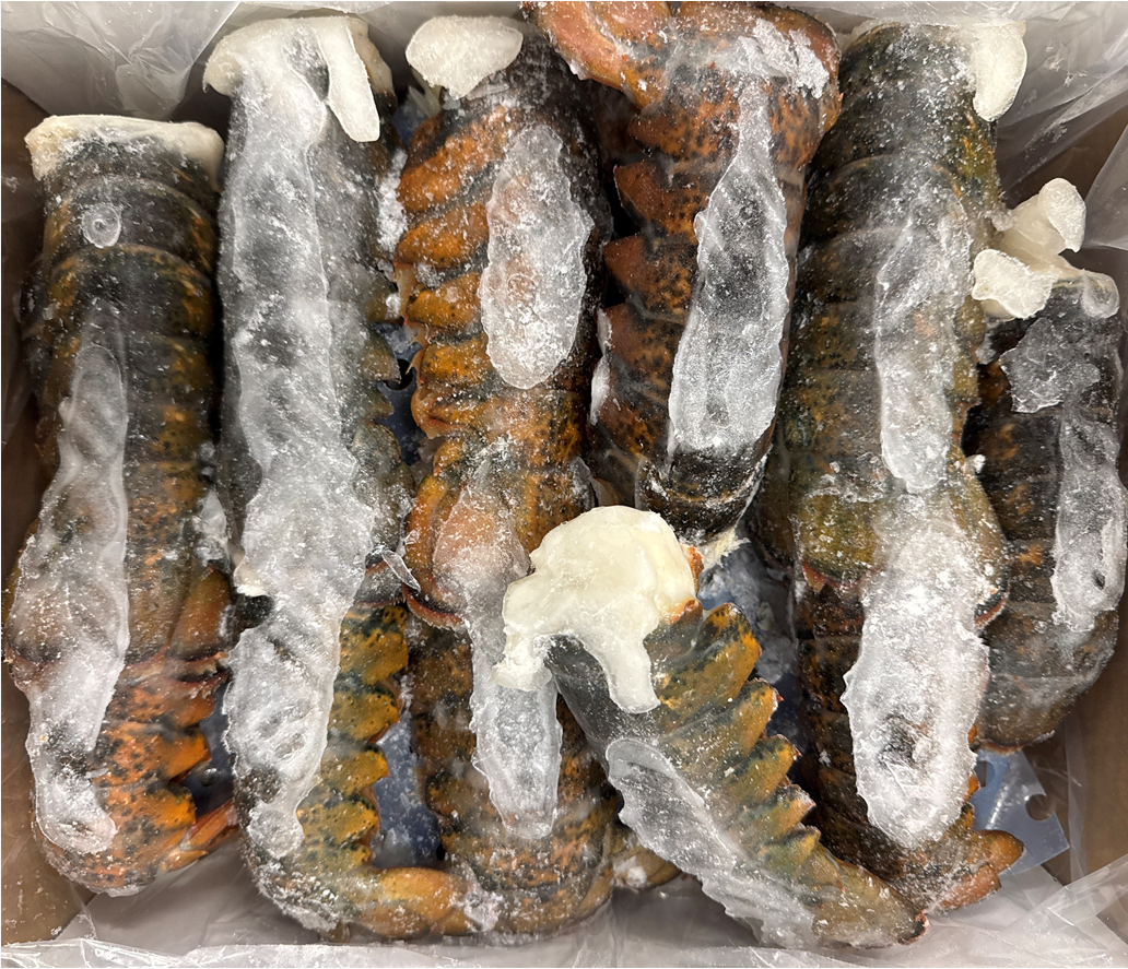 Lobster (Raw), 5-6 oz, Tails, Frozen, Canada, NW, 10 lb