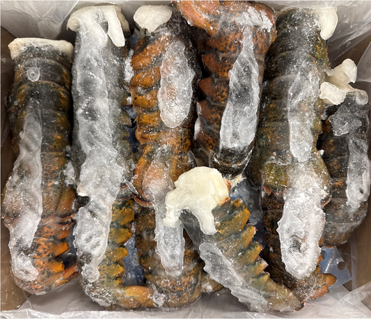 Lobster (Raw), 5-6 oz, Tails, Frozen, Canada, NW, 10 lb