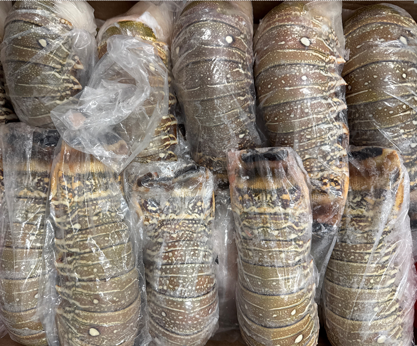 Lobster, 7oz, Tails, Frozen, Brazil,  NW, 10lb