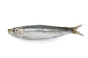 Sardines, 60-80 ppk, Whole, Frozen, IQF, NW, 10 kg (22.05 lb)