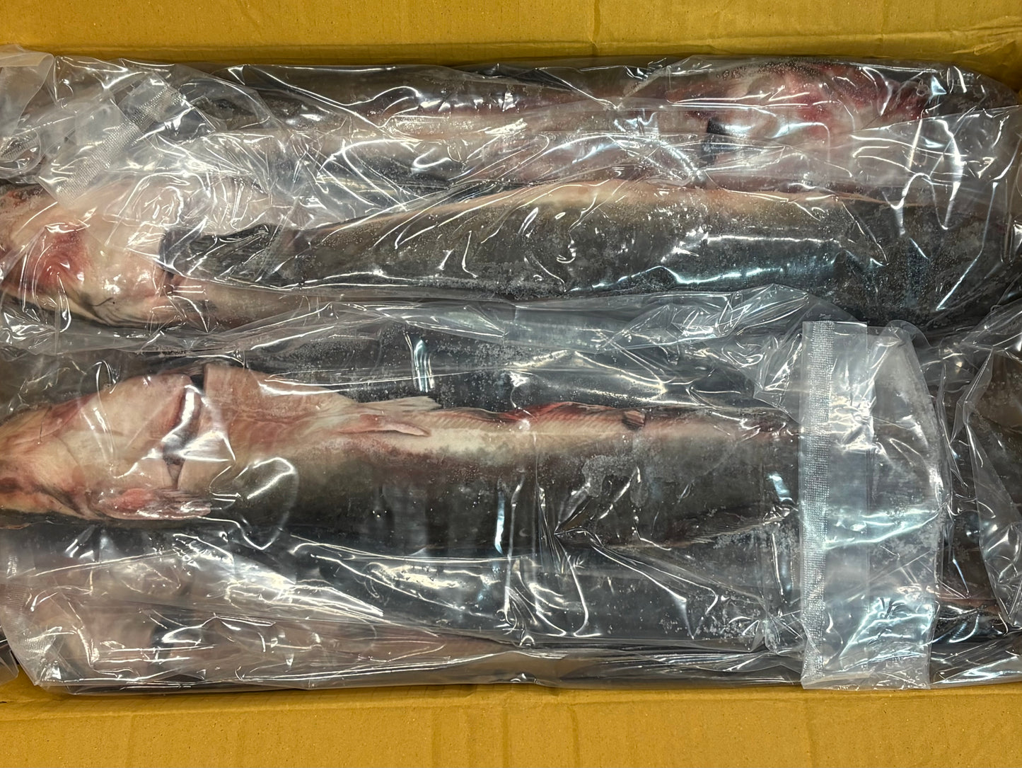 Catfish, 400-800g, Whole, Gutted, Frozen, IQF, Thailand, NW, 16.2lb