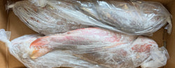 Snapper (Mutton), 10-20 lb, Whole, Gutted, Frozen, NW, 55 lb