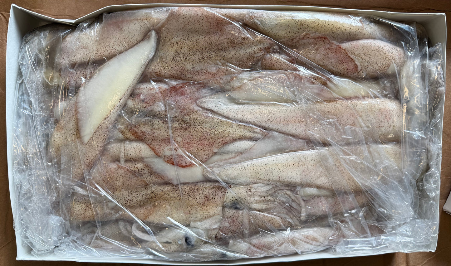 Squid, (Loligo Pealei), 8-10, Whole, Cleaned, Frozen, NW, 44 lb, 4 x 11 lb