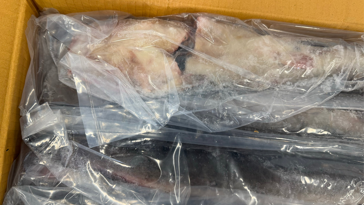 Catfish, 800-1200g, Whole, Gutted, Frozen, IQF, IWP, Taiwan/Thailand, NW, 16.2lb