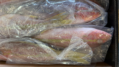 Snapper (Yellow Tail), 3/4-1 lb, GGS, Frozen, IWP, Brazil, NW, 10 lb