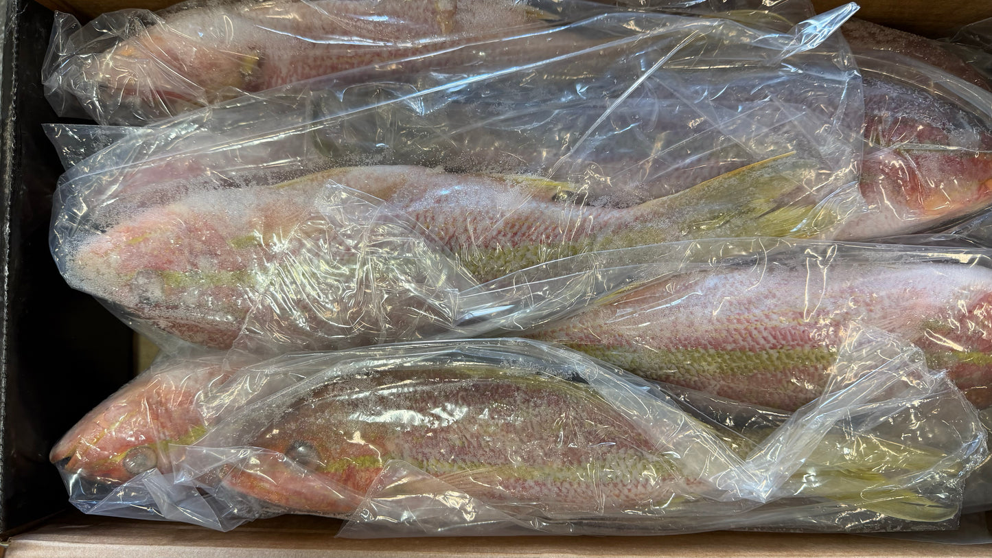 Snapper (Yellow Tail), 3/4-1 lb, GGS, Frozen, IWP, Brazil, NW, 10 lb