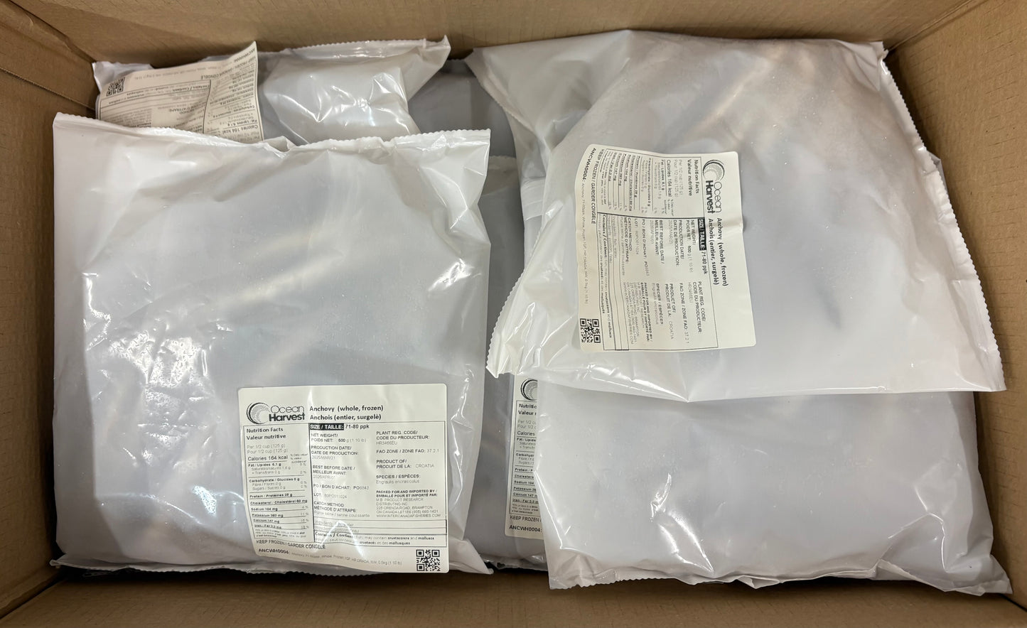 Anchovy, 71-80ppk, Whole, Frozen, IQF, HR, NW, 5kg (11.023lb)